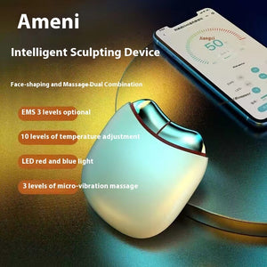 Shaping Instrument EMS Warm LED Red Light Skin Beauty Face Inductive Therapeutical Instrument